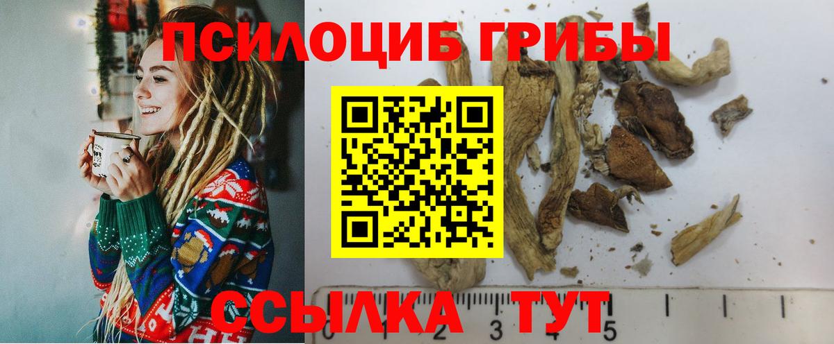 Галлюциногенные грибы Magic Shrooms  наркота  Алушта  Вход с VPN 